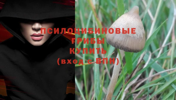 прущая мука Губаха