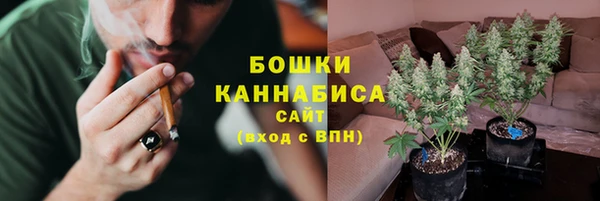 ПСИЛОЦИБИНОВЫЕ ГРИБЫ Нягань