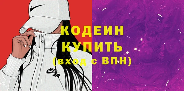 стаф Няндома