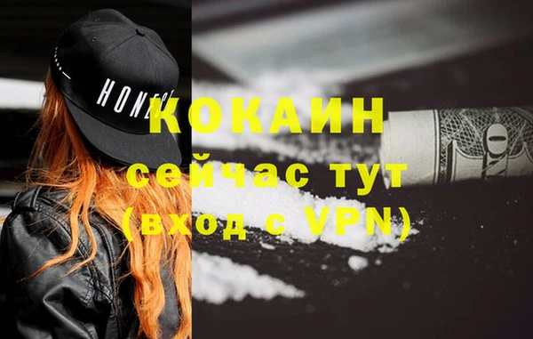 стаф Няндома