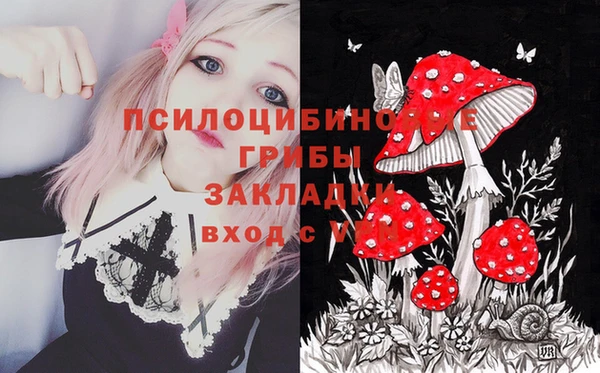 МДПВ Новодвинск