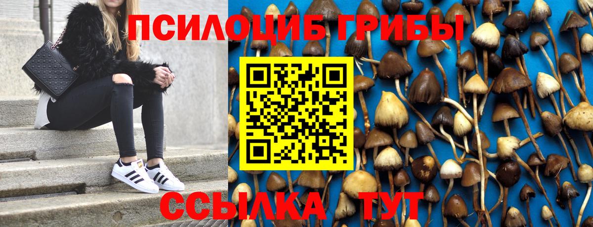 Галлюциногенные грибы прущие грибы Избербаш