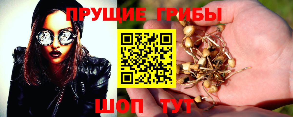 Галлюциногенные грибы мухоморы Избербаш